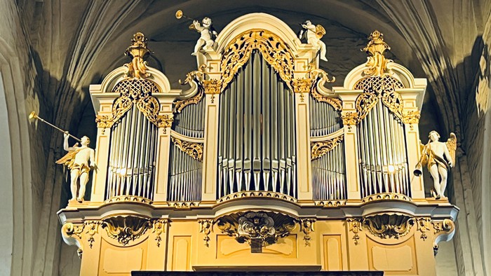 die Orgel in der Oberkirche St. Nikolai Cottbus
