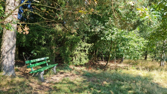 Bank im Schatten am Wald