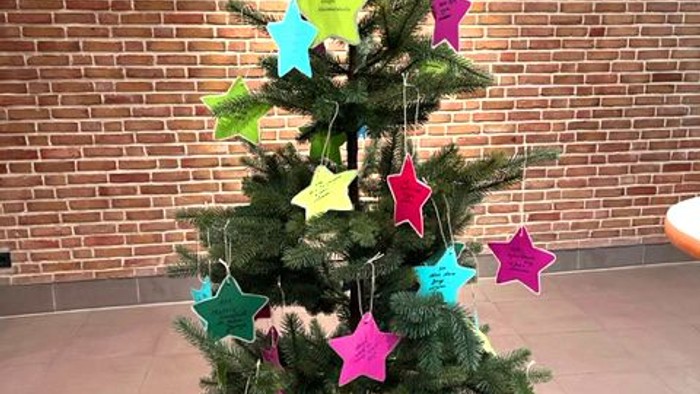 Weihnachtsbaum mit bunten Sternen