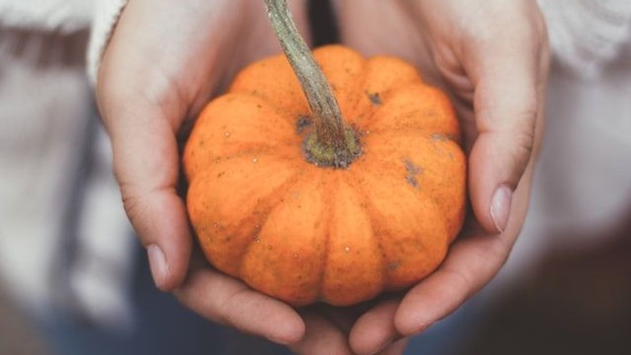 Eine Person hält eine kleine, orangefarbene Kürbis in den Händen.