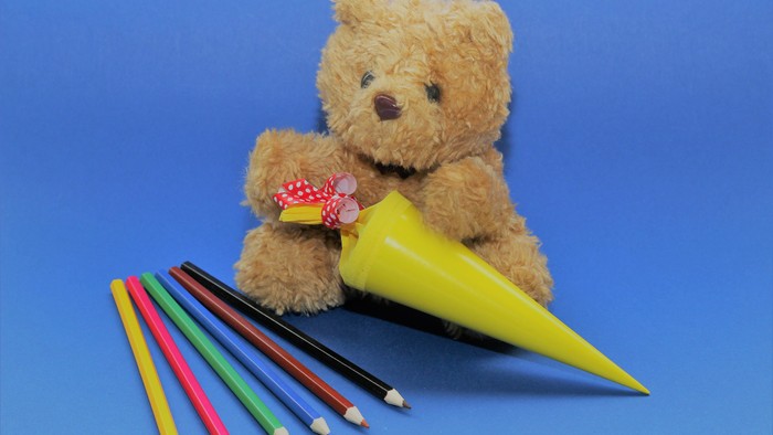Teddy mit Schultüte