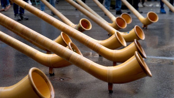 Goldene Blechblasinstrumente, aufgereiht auf nassem Pflaster, wahrscheinlich Teil einer Parade oder Veranstaltung.