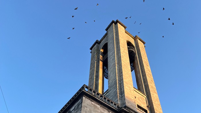 En stenkirke med et højt klokketårn og talrige fugle, der flyver rundt på en klar himmel.
