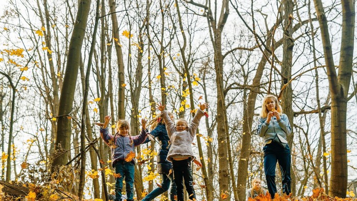 Eine fröhliche Familie springt durch herbstliches Laub in einem bewaldeten Gebiet, umgeben von hohen Bäumen.