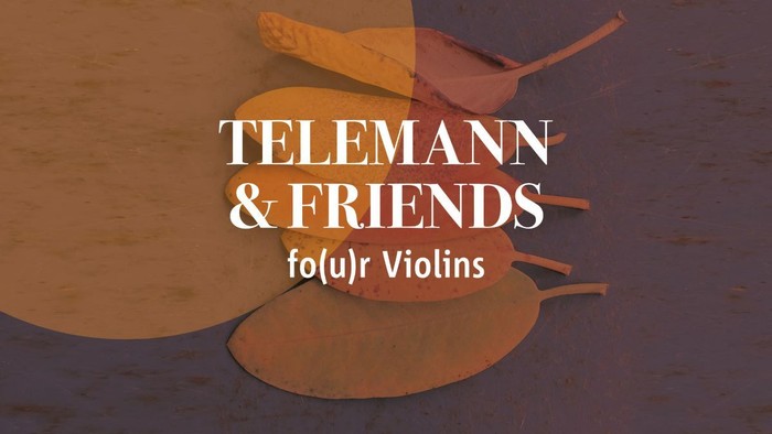 Ein stilisiertes Logo mit Violinen und dem Text *„Telemann & Friends fo(u)r Violins“* auf einem strukturierten Hintergrund.