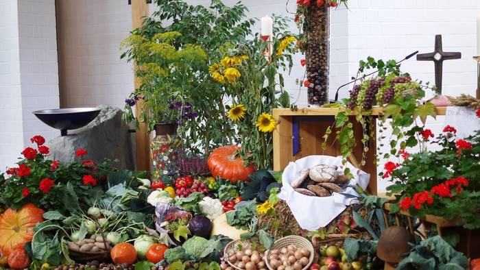 Bunte Herbstdekoration mit Kürbissen, Blumen und Gemüse vor weißer Wand