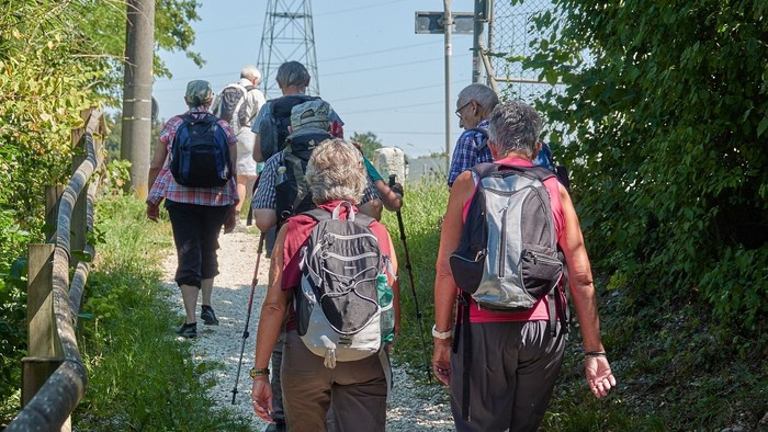 Eine Gruppe von Wanderern mit Rucksäcken geht auf einem Pfad entlang