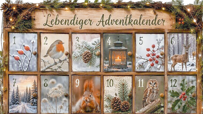 Adventskalender