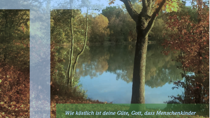 Stiller Herbstwaldteich mit spiegelnden Bäumen und poetischem deutschen Text-Overlay.