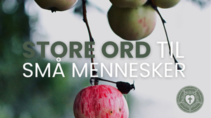 Store ord til små mennesker med æbler og et norsk udtryk på en sløret baggrund.