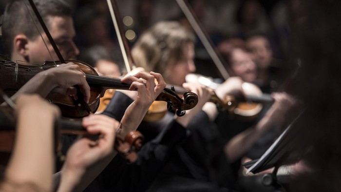 Eine Gruppe von Musikern spielt Geigen in einem Orchester.