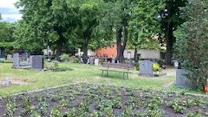 Luftaufnahme eines saftig grünen Feldes mit verstreuten Bäumen und einigen geparkten Fahrzeugen in der Nähe.