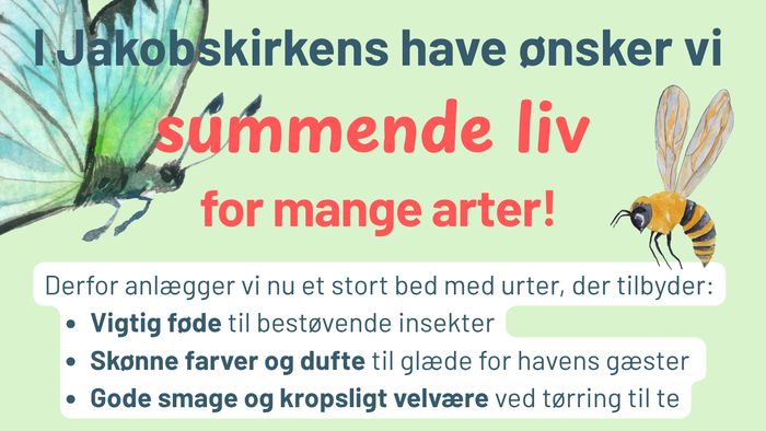 Plakat med fællesskabsinvitation til havearrangement for bier og sommerfugle på Jakobskirkens arbejdsdag.