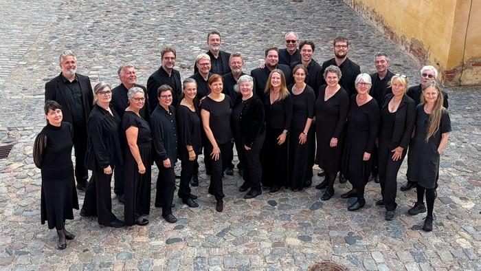 En gruppe musikere klædt ens i sort poserer sammen udendørs på brostensbelagt fortov.