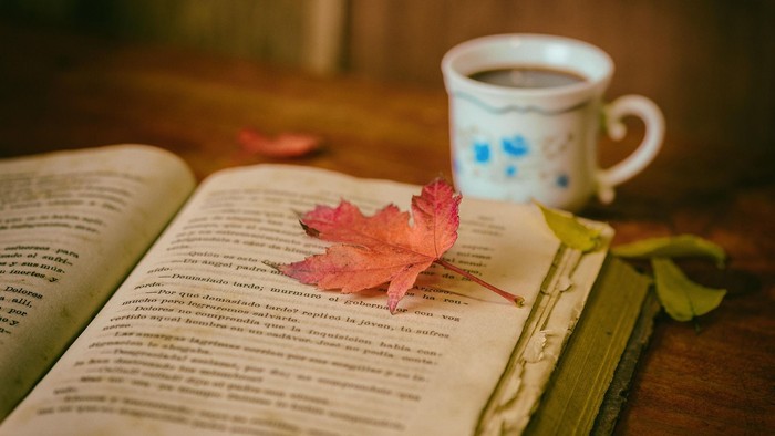 Aufgeschlagenes Buch mit herbstgefärbten Ahornblatt, im Hintergrund sieht man eine Kaffeetasse