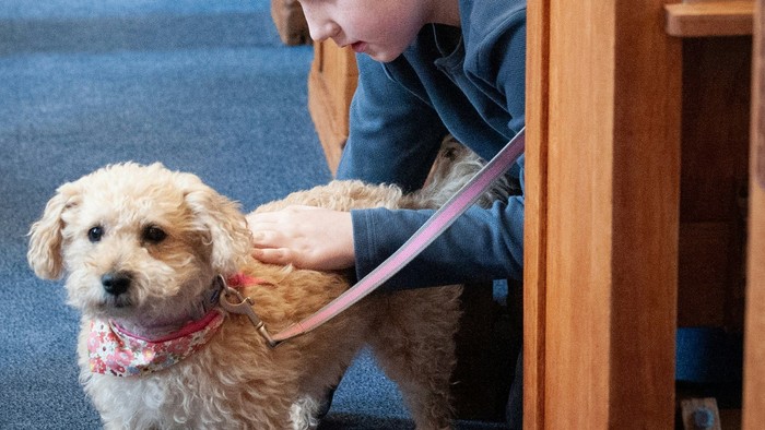 Tiere dürfen mit in den Gottesdienst genommen werden.