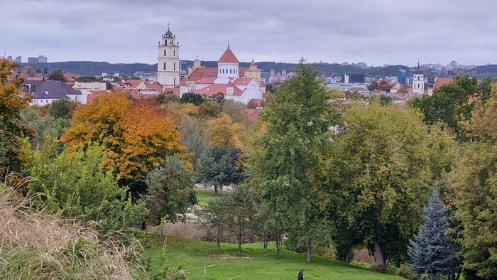 Ein malerischer Herbststadtblick mit buntem Laub, historischen Gebäuden und einem markanten Kirchturm.