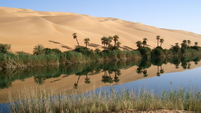 Wüstenoase mit Palmen und ruhigem Wasser, das die Landschaft und den Himmel widerspiegelt.
