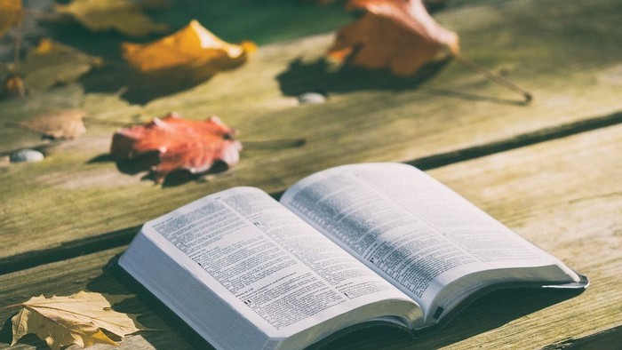 Open book on wooden surface with autumn leaves.