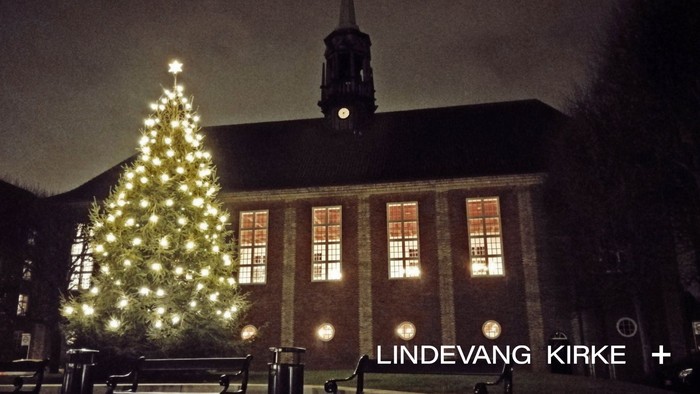 Juletræ foran en kirke om natten