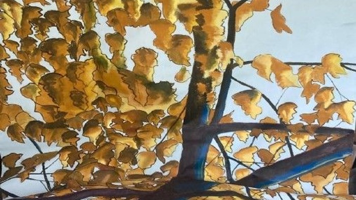 Herbstlaub ergießt sich in goldenen Tönen vor einem klaren Himmel durch die Baumzweige.