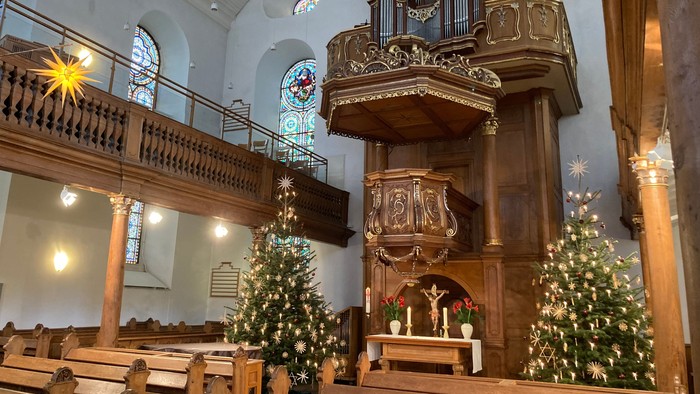 Innenraum einer Kirche mit Weihnachtsbäumen und großer Orgel