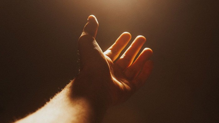 Eine Hand im warmen Sonnenlicht.