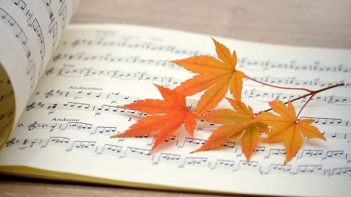 Herbstblätter liegen auf Notenblatt