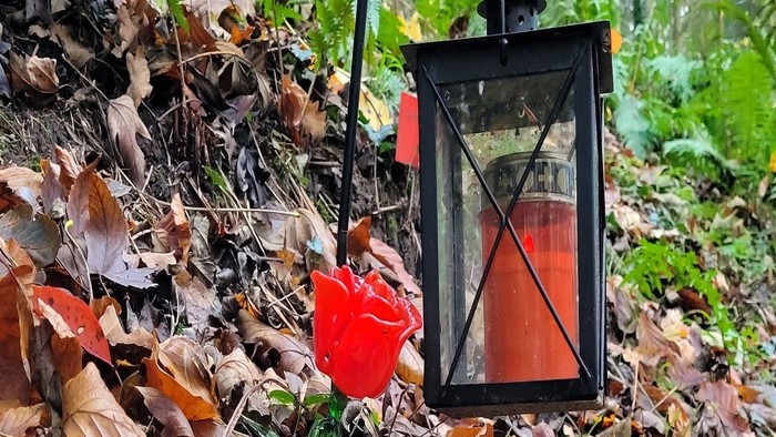 Ein schwarzer Laternenpfahl mit roter Kerze steht in einem Wald mit gefallenen Blättern.
