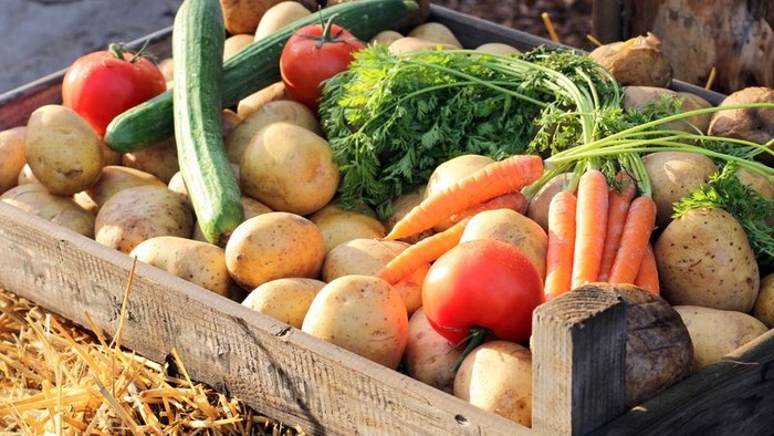 Ein Korb voller frischer Gemüse wie Kartoffeln, Karotten, Tomaten und Gurken