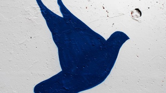 Ein blauer Vogel ist an einer weißen Wand gemalt.