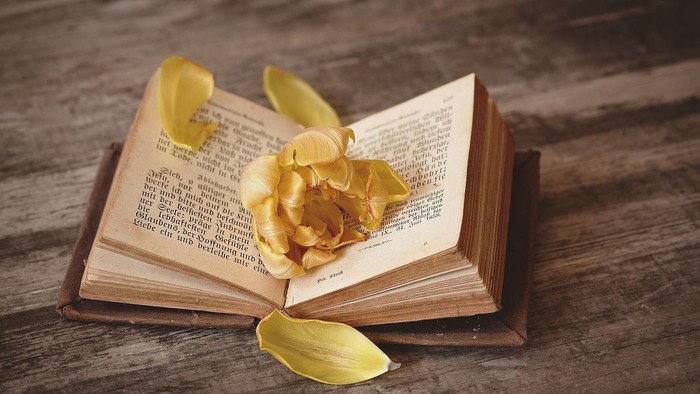 Eine welkende Blume liegt zwischen den Seiten eines offenen Buches auf einer rustikalen Holzoberfläche.