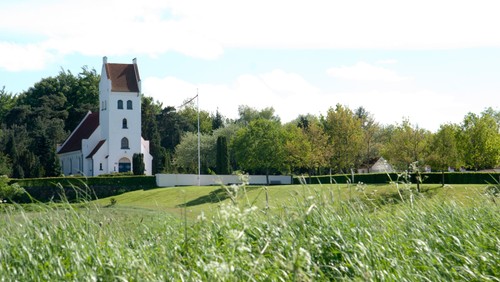 Prædiken 11.søndag efter Trinitatis 2018 i Nivå Kirke