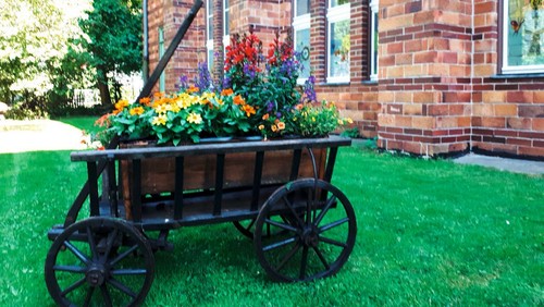 Neues Leben im alten Garten – der Johannesgarten