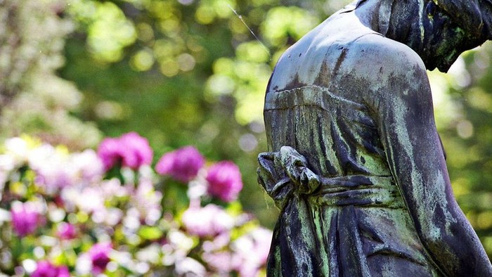 Die Statue eines Mannes steht vor rosa Blumen.