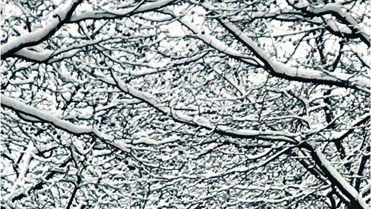 NYT KIRKEBLAD Vinter 2018