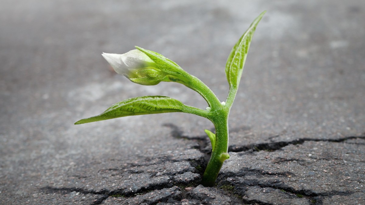 „Leben ist das, was passiert, während du eifrig dabei bist, andere Pläne zu machen.“