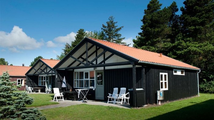 En lille sort hytte med rødt tag og hvidt træ, omgivet af græs og træer.
