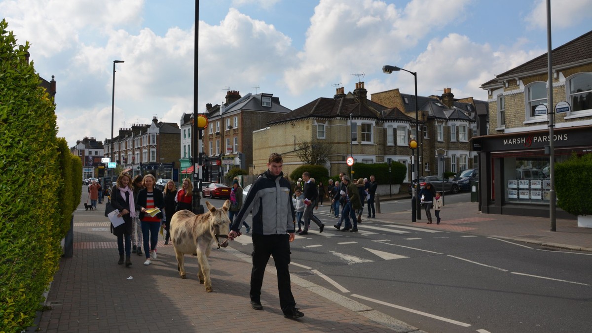 Palm Sunday - We're with this guy