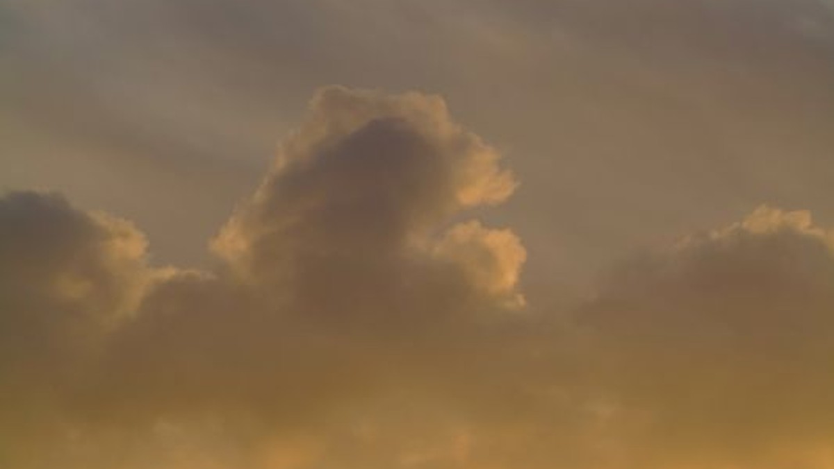 Neue Studie zur Entwicklung der Kirchenmitglieder und Kirchensteuern