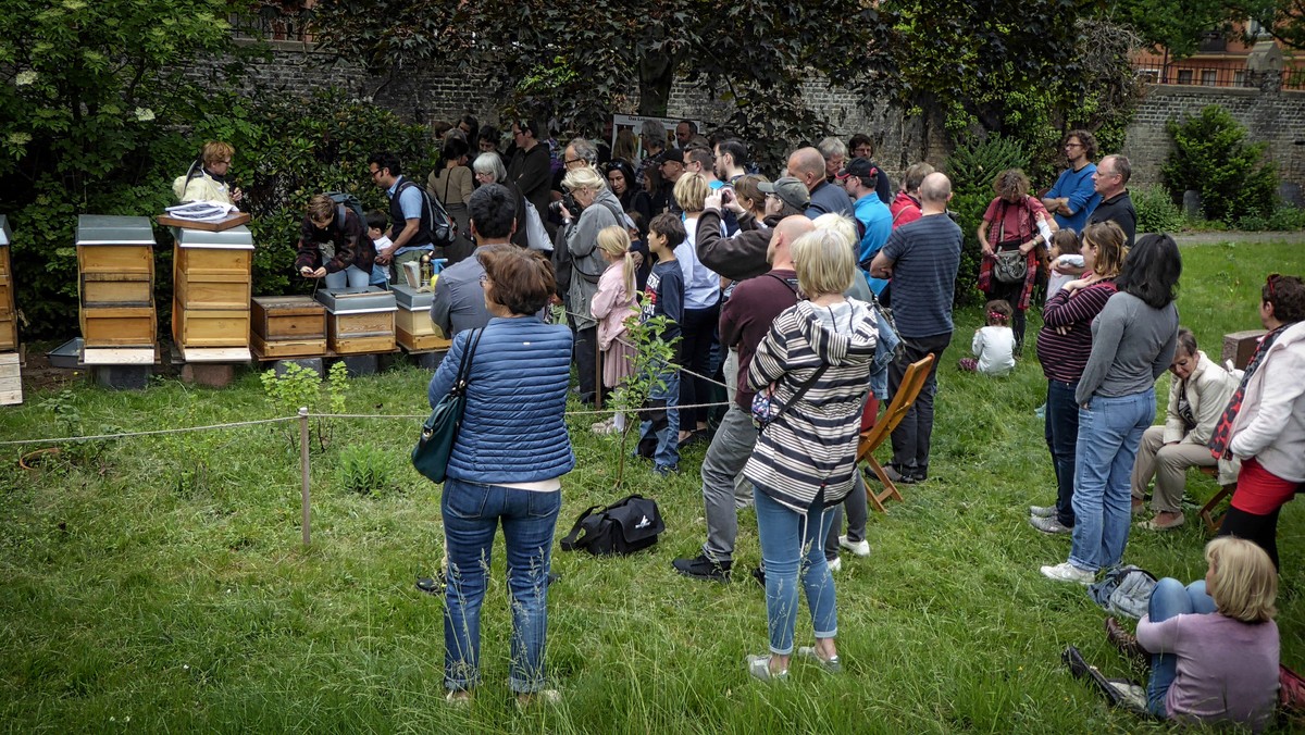 Großer Andrang bei der Bienenführung mit Imkerin Anke Bähr auf dem Zwölf-Apostel-Kirchhof.