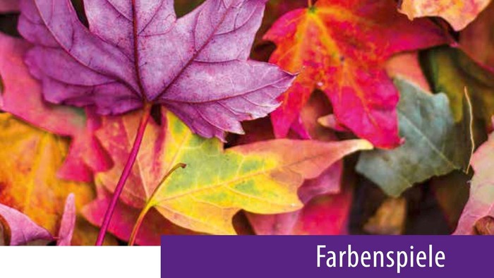 Das Cover zeigt bunte Herbstblätter und den Titel 