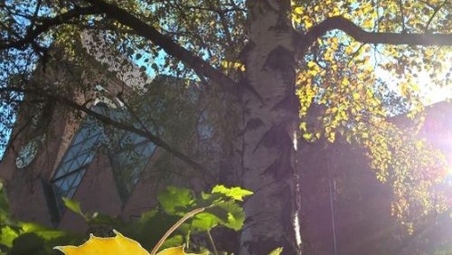 Gemeindebrief Oktober/November erschienen!