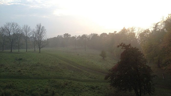 Frühnebel in einem grünen Feld bei Sonnenaufgang