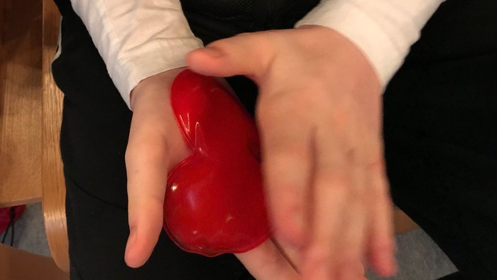 En person holder en rød plastisk hjerteform.