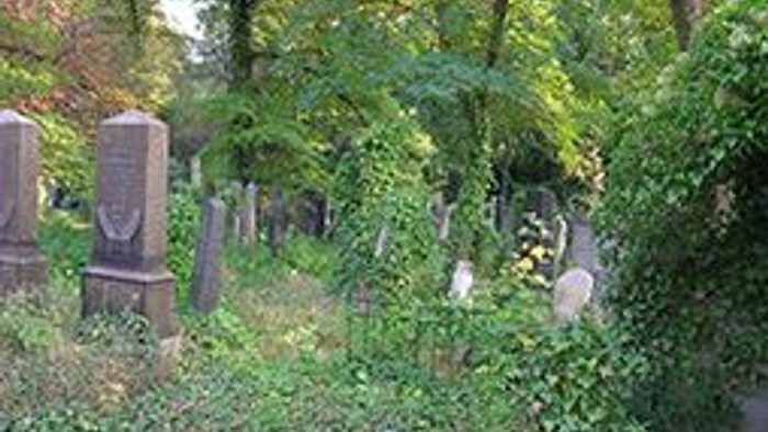 Ein verwilderter Friedhof mit alten Grabsteinen und üppigem Grün.