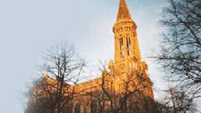 Ein hoher Kirchturm ragt hinter Bäumen empor, der in der untergehenden Sonne golden leuchtet.