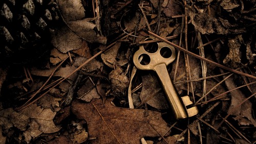February 1, 2020 Sermon: Hidden Treasure