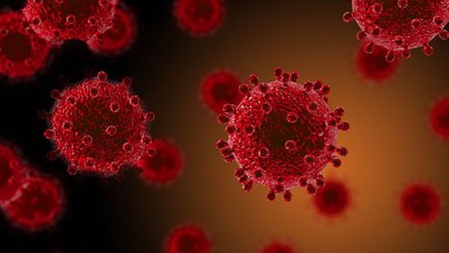 CORONAVIRUS - sådan kan du bruge kirken