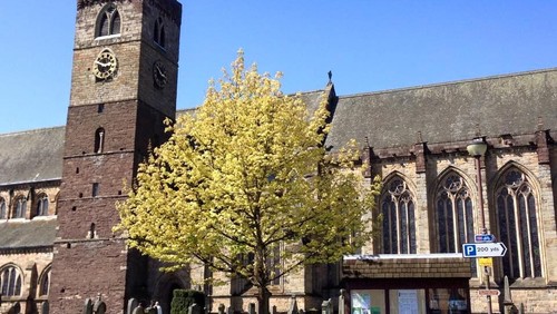 Covid-19 - Cancelled Events